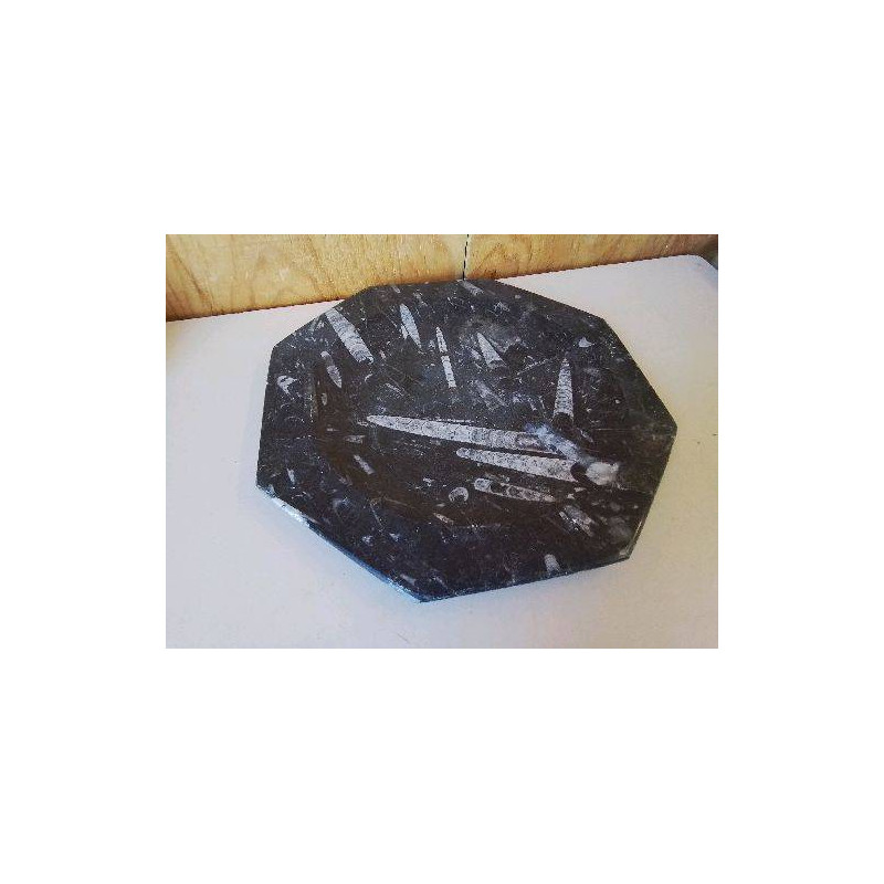 ASSIETTE EN MARBRD FOSSILISÉ 