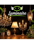LUMINAIRE