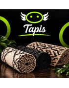 TAPIS